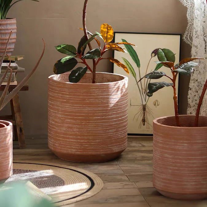 Hejma Kaj Ĝardeno Dekoracia Planto Poto