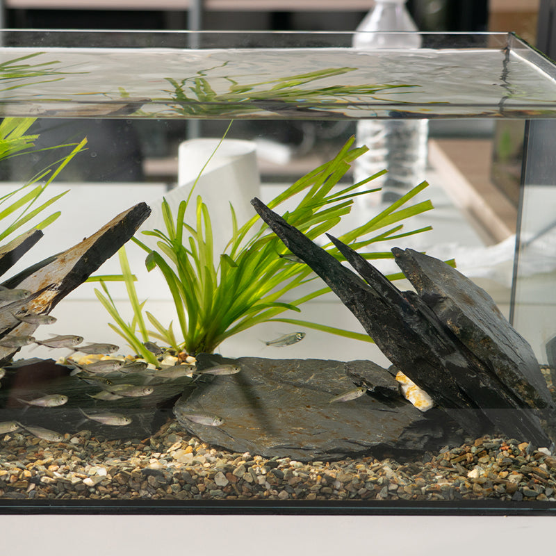 30L Eco-friendly Side Filter Glass Aquarium