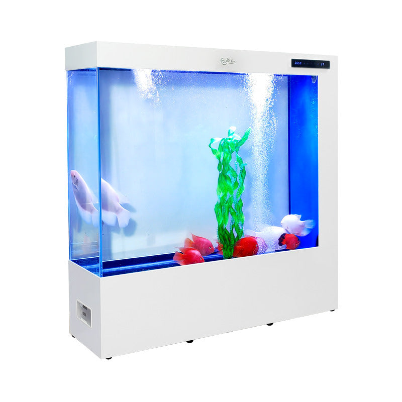 Modern Ultra-clear Glass Screen Aquarium