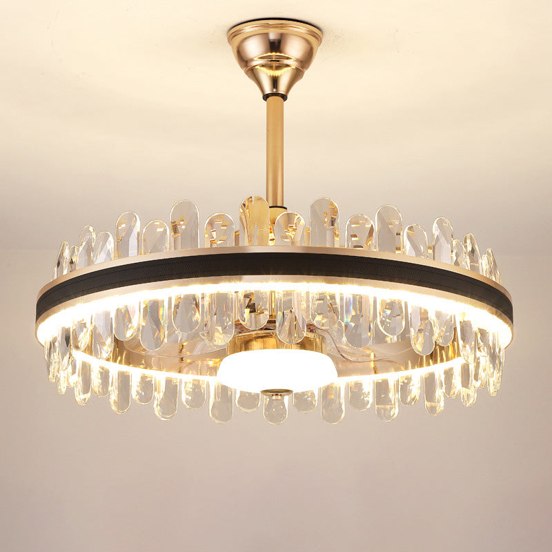 Smart Modern Fan Light