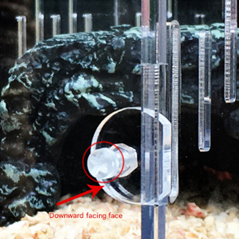 4-Compartment Acrylic Reptile Terrarium Customizable