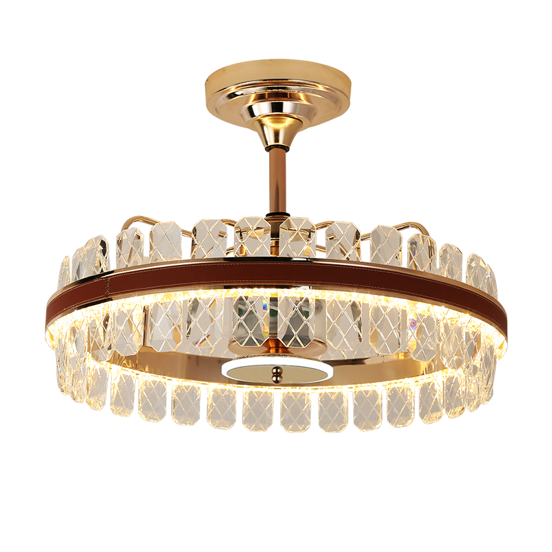 Indoor Ceiling Fan Light