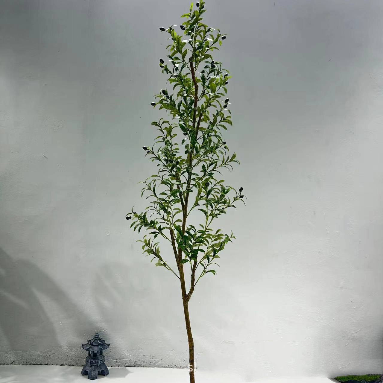 Olivarbaj Simulaj Plantoj