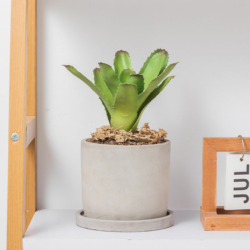 Minimalista Cementa Vazo Kun Pleto