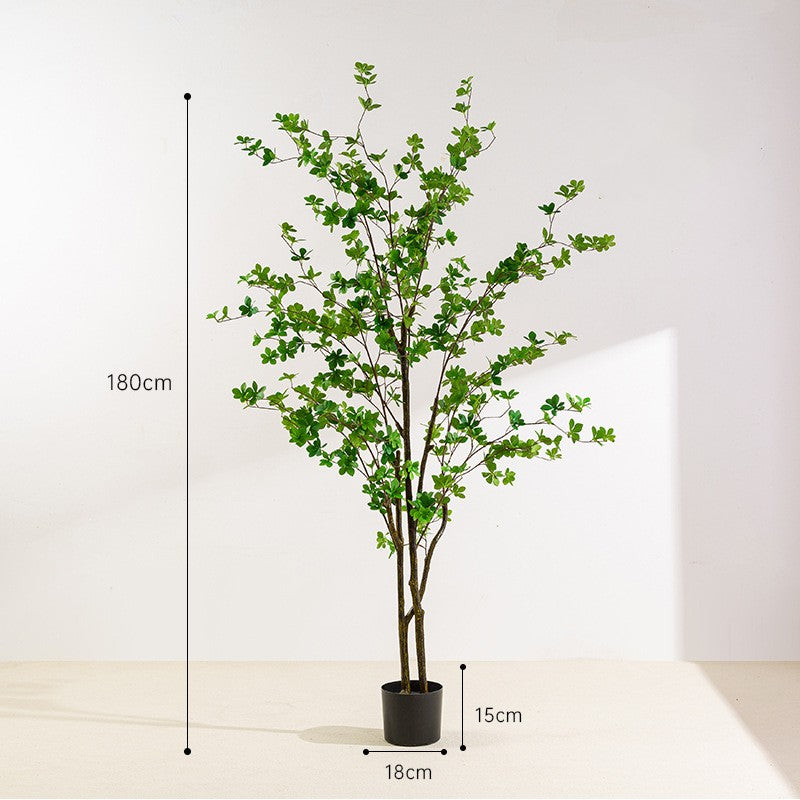 Simulita Sonorila Arbo Planto Potita Endoma Hejma Planka Dekoracio