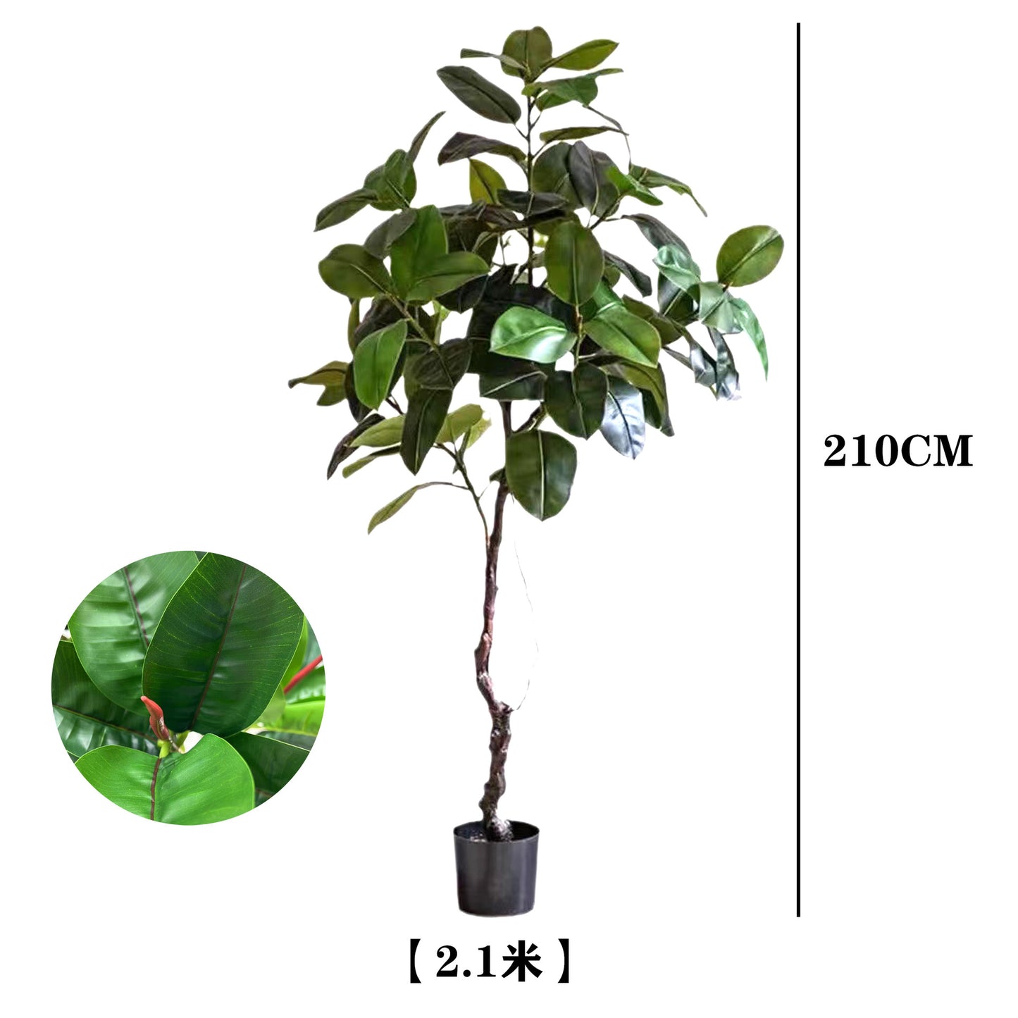 Simulita Potita Granda Verda Kverko Hejma Planka Dekoracio