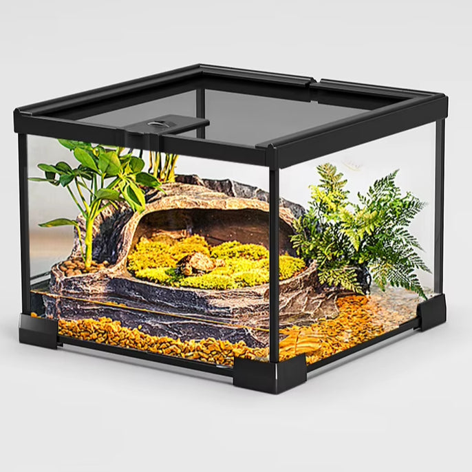 Full Glass Sides Custom Black Reptile Terrarium