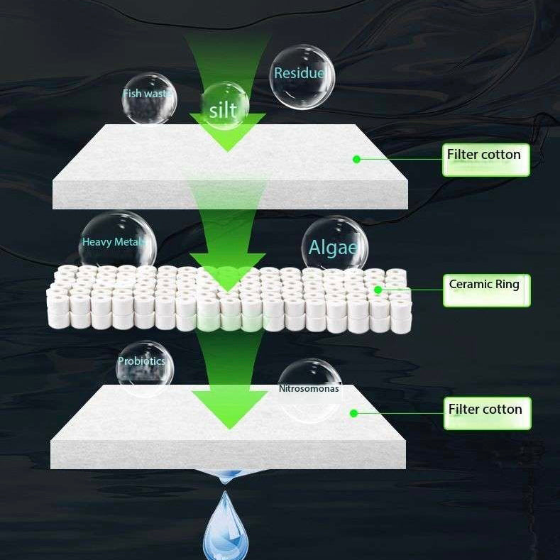 Eco-Friendly Wall-Mounted Ultra Clear Glass Fish Tank