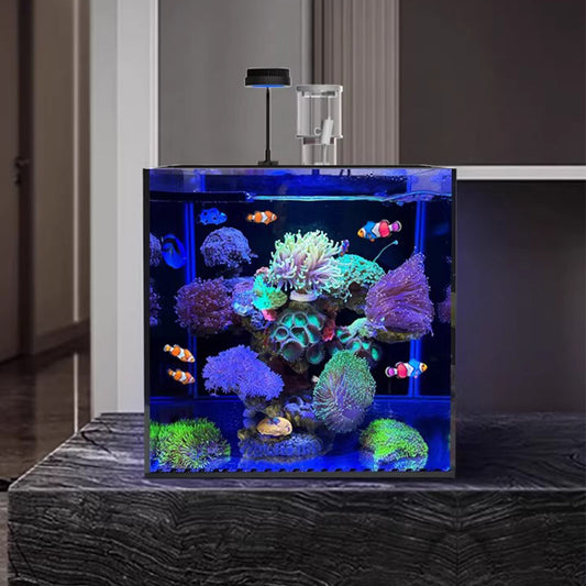 Modern Luxury Glass Saltwater Aquarium