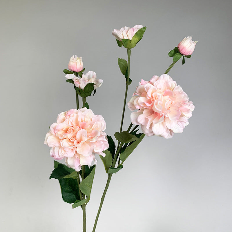 Пион с двумя головками, шелковый цветок Paeonia