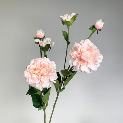 Пион с двумя головками, шелковый цветок Paeonia