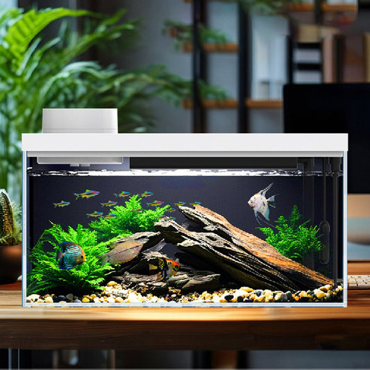 App Remote Feeding Portable Ecological Aquarium