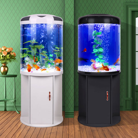 Modern HD Glass Semi-Circular Aquarium