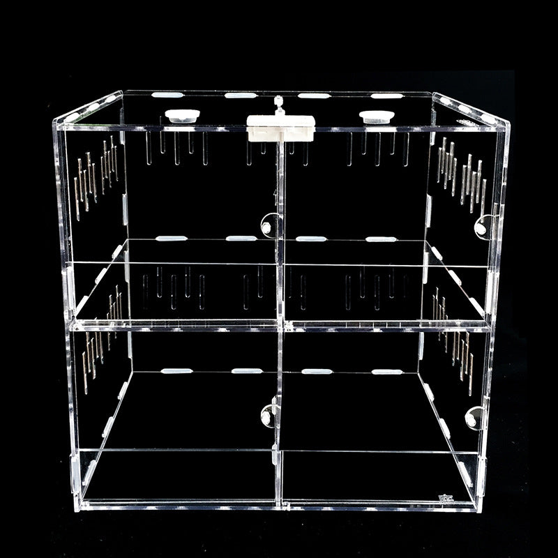4-Compartment Acrylic Reptile Terrarium Customizable