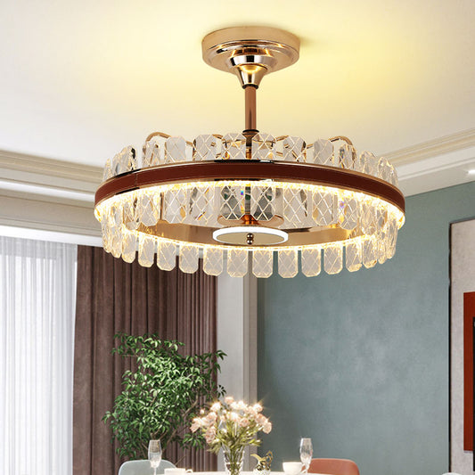 Indoor Ceiling Fan Light