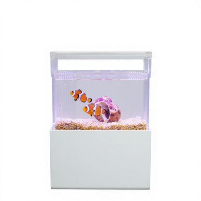 Modern 6L Smart Acrylic Ecosystem Tank