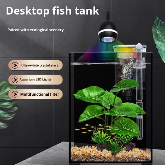 Modern Ultra-clear Glass Aquarium