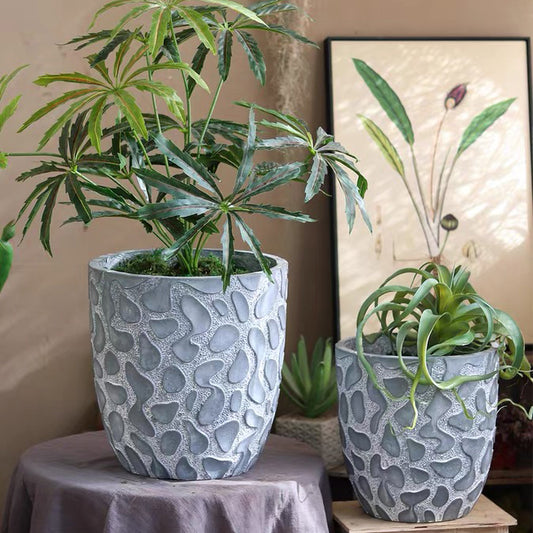 Dekoracio Grandaj Plantoj Florpoto