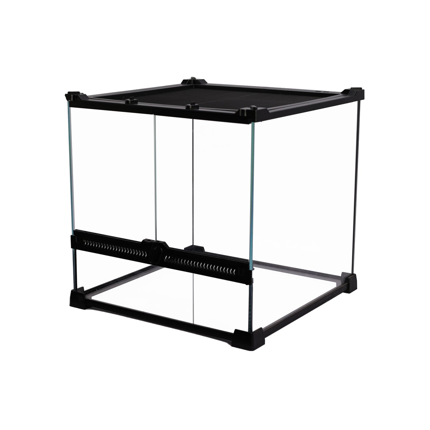 Custom Super-clear Glass Rainforest Tank