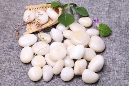 Unpolished Natural Matt Pebbles Aquarium Decor