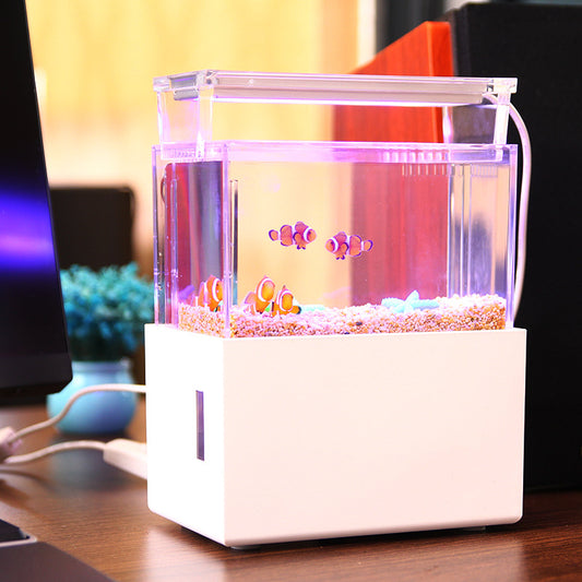 Modern 6L Smart Acrylic Ecosystem Tank