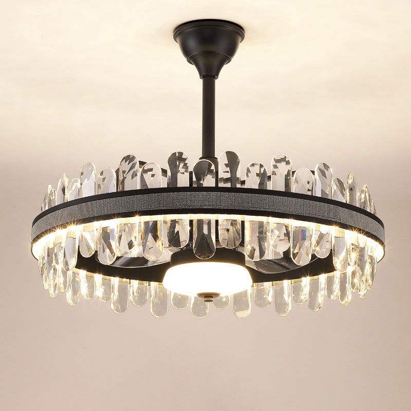 Smart Modern Fan Light