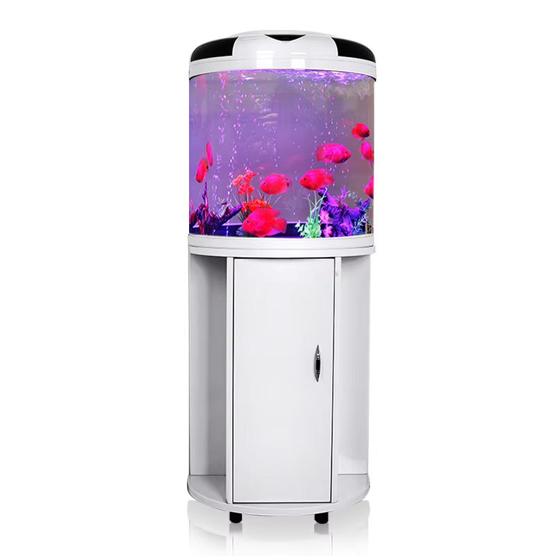 Modern HD Glass Semi-Circular Aquarium