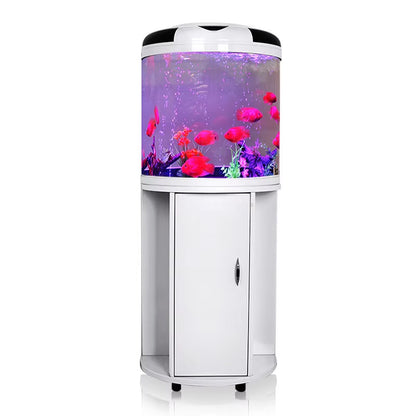 Modern HD Glass Semi-Circular Aquarium