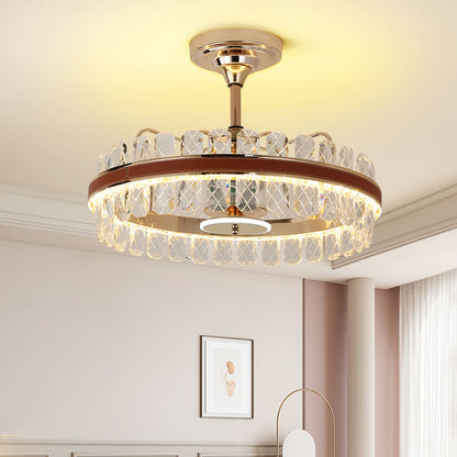 Indoor Ceiling Fan Light