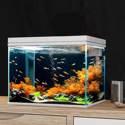 Super White Glass Freshwater Aquarium