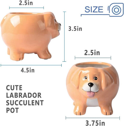 Mini Doggy Shape Succulent Ceramic Plant Pot