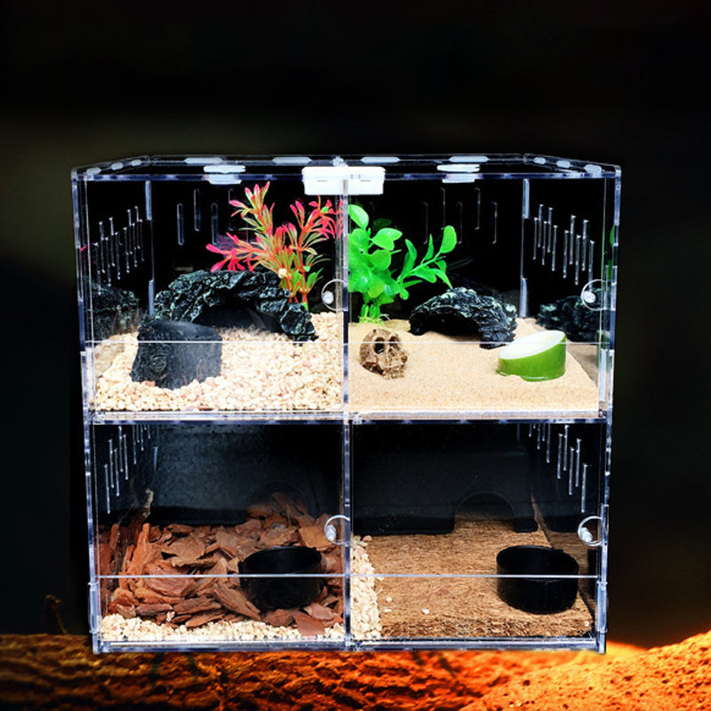 4-Compartment Acrylic Reptile Terrarium Customizable