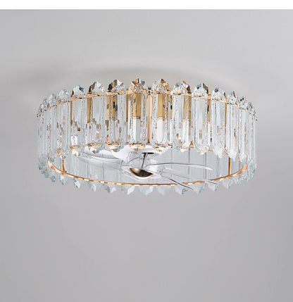 Direct Factory Fan Light