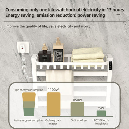 R220 Smart Electric Towel Rack