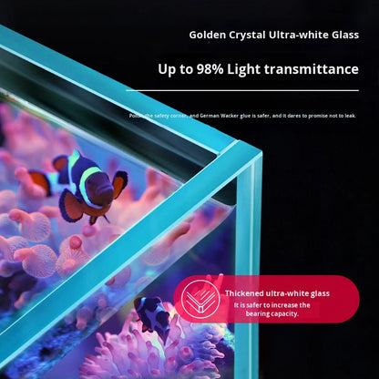 Modern Luxury Glass Saltwater Aquarium