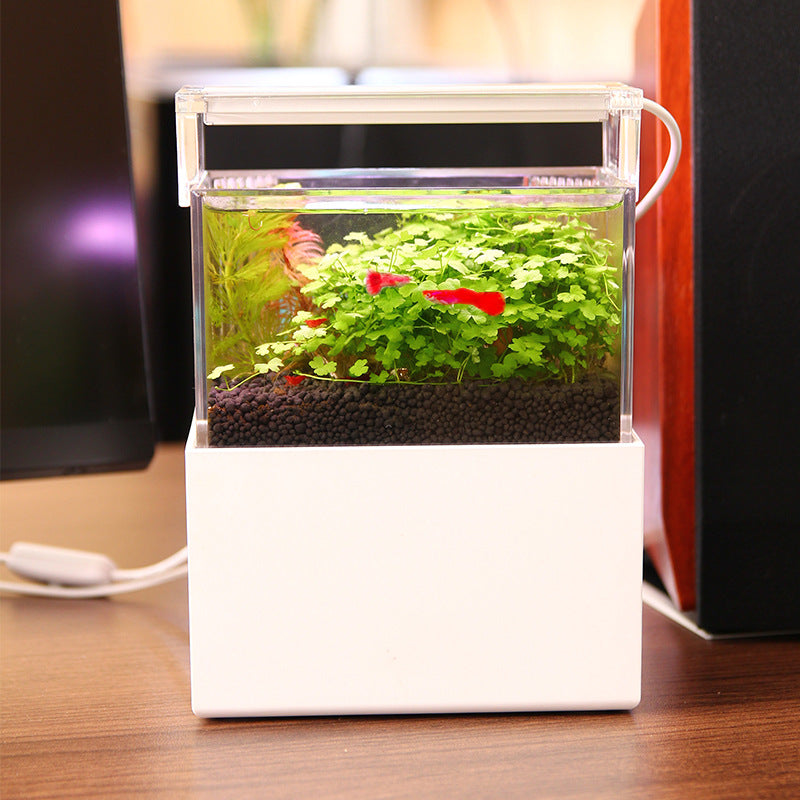 Modern 6L Smart Acrylic Ecosystem Tank