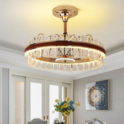 Indoor Ceiling Fan Light