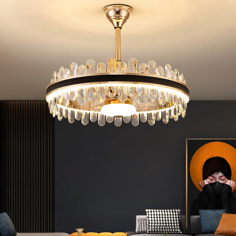 Smart Modern Fan Light