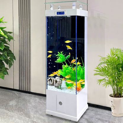 Rectangle Big Aquarium with Filtration for Living Room