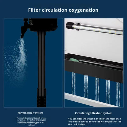 Small Rectangular Glass Goldfish & Turtle Tank