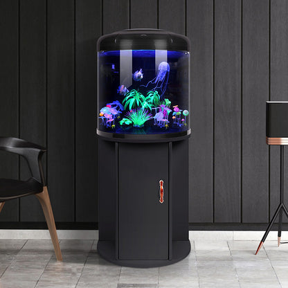Modern HD Glass Semi-Circular Aquarium