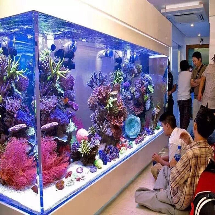 Customized Large Lucite Acrylic Hotel Aquarium