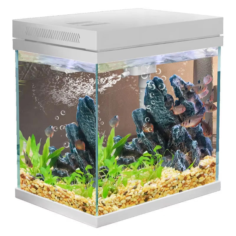 Super White Glass Freshwater Aquarium