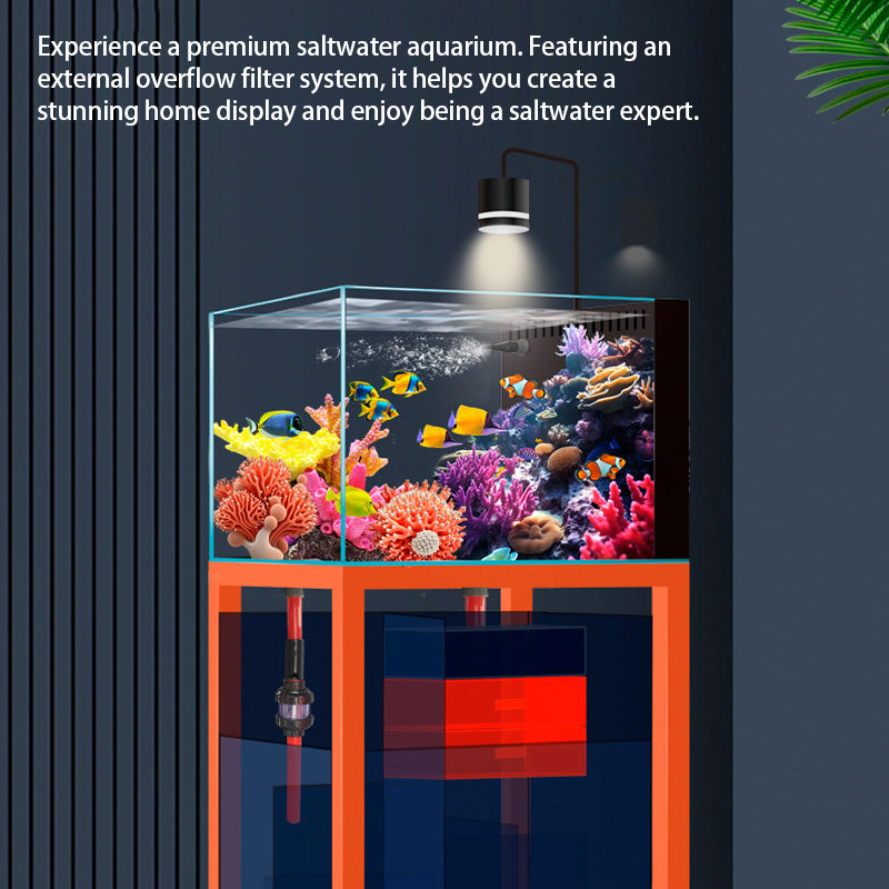 Ultra White Glass Saltwater Coral Aquarium