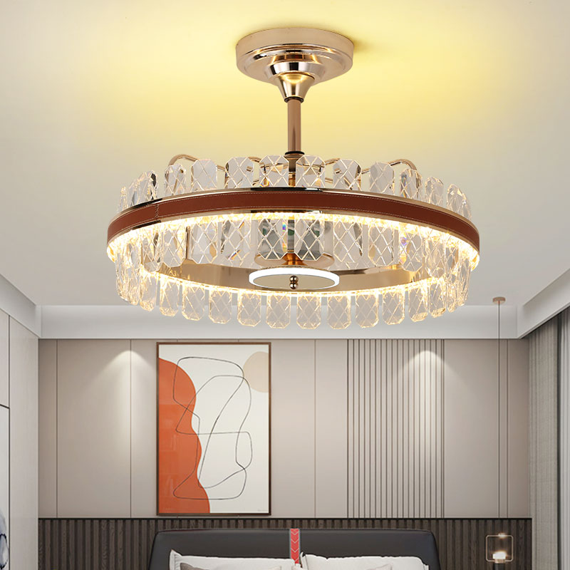 Indoor Ceiling Fan Light