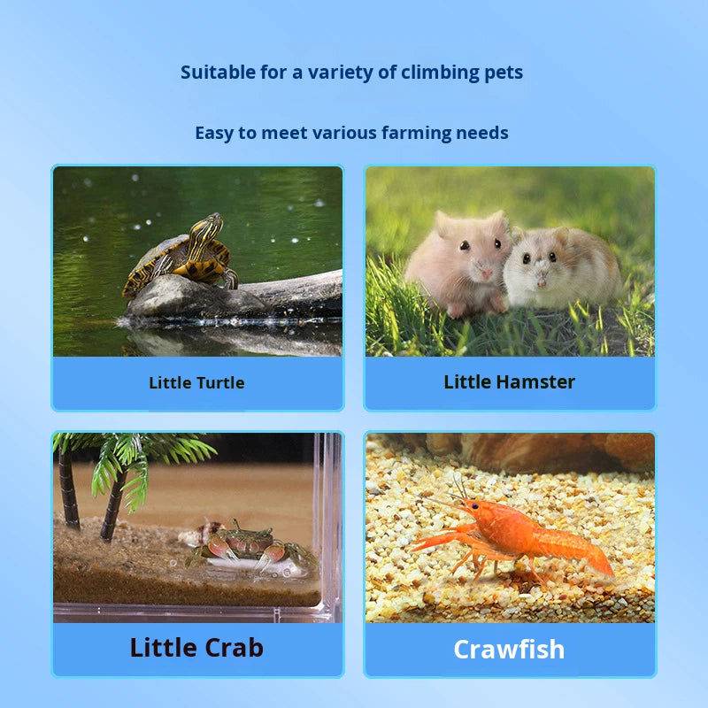 Portable Plastic Kids Turtle Tank With Lid