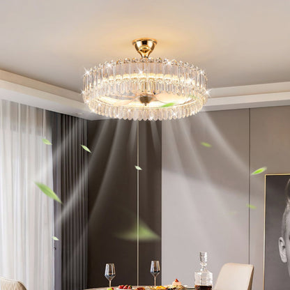 Direct Factory Fan Light