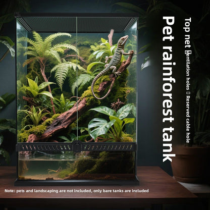 Tropical Glass Reptile Rainforest Tank
