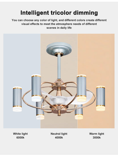Modern Ceiling Fan Light