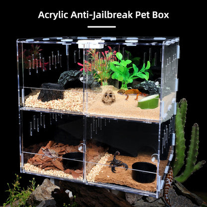 4-Compartment Acrylic Reptile Terrarium Customizable